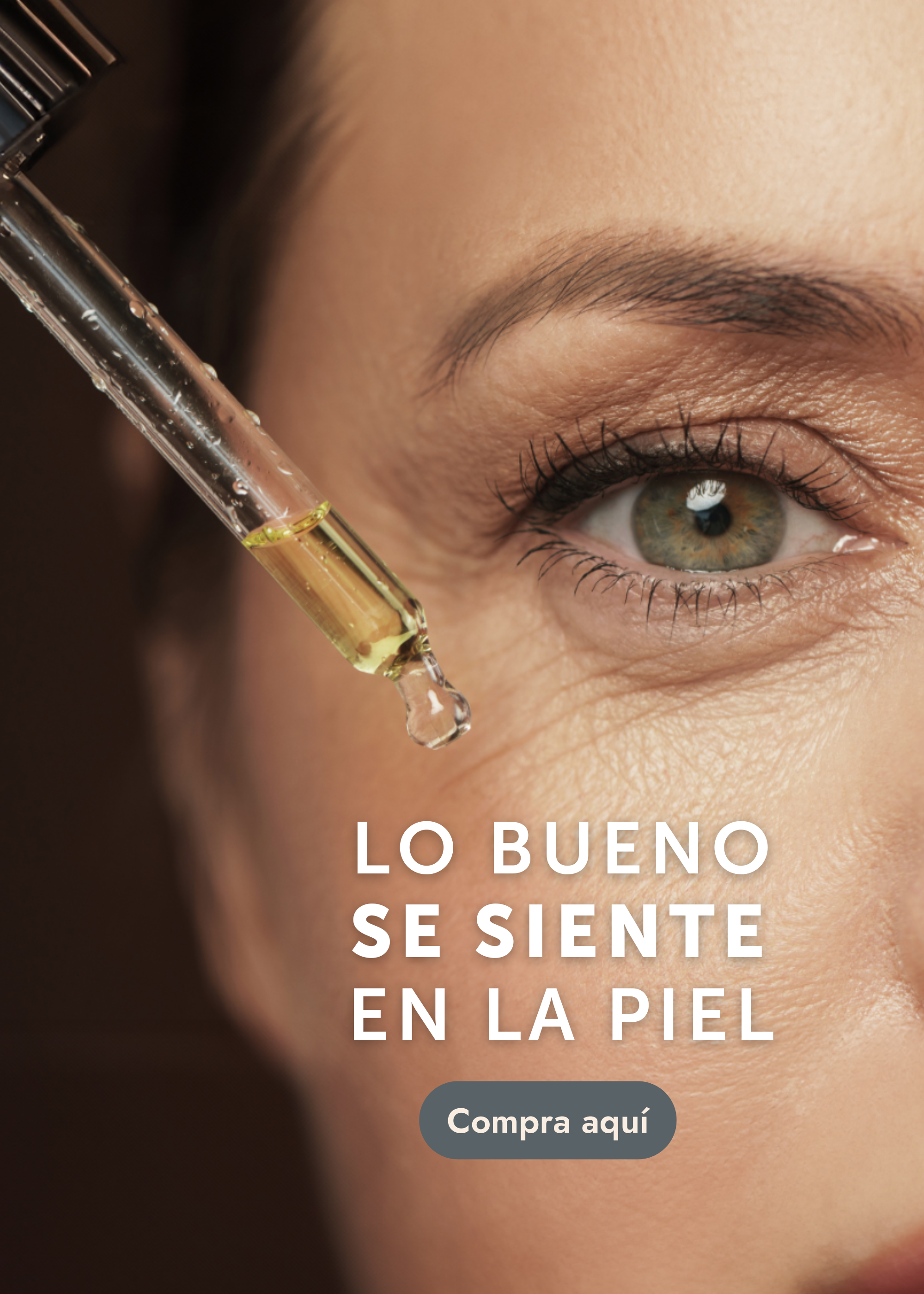 Imagen de diapositiva
